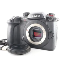 2026年最新】PANASONIC lumix gh5の人気アイテム - メルカリ