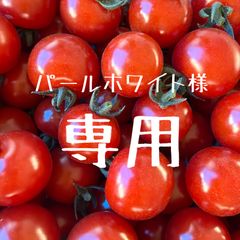 펄 화이트 님 •* ̈*•. ̧