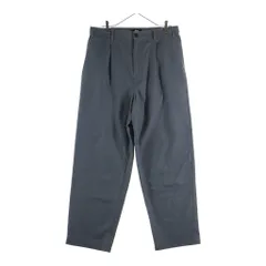 STUSSY (ステューシー) Volume Pleated Trouser ボリュームプリーツドトラウザーパンツ スラックス グレーのサムネイル
