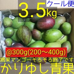 沖縄県産 摘果マンゴー箱なし3kg｜100〜300g 青マンゴー - メルカリ