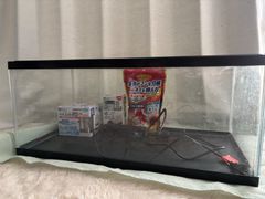 引取限定】GEX90水槽・水槽台セット - メルカリ