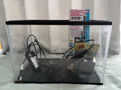 【送料込】メダカ飼育セット　水槽セットのサムネイル
