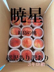 山梨県産 魅惑の 夢桃香 EM栽培 朝採り 生産者直送 3kg箱 - メルカリ