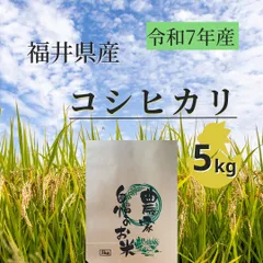 ＊クール便発送＊【農家直送】令和7年産 コシヒカリ 5kg 福井県産 精米したてのサムネイル