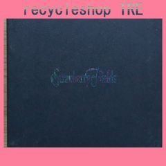 국내반 CD 나카니시 케이조/Keizo Nakanishi ■ 비정 계단 (Hyper-Radio Mix) [PICL0001/4988102090357]B22161