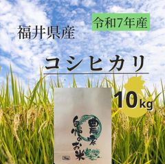新潟県産 コシヒカリ玄米 10kg 令和7年産【生産農家直販】 - メルカリ