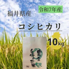 ＊クール便発送＊【農家直送】令和7年産 コシヒカリ 10kg福井県産 精米したてのサムネイル