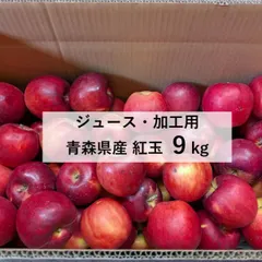 ジュース 加工用 青森県産 紅玉 CA貯蔵 りんご 9kgのサムネイル