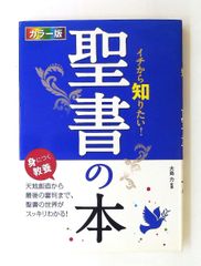反ナチ・抵抗の教育者 ライヒヴァイン 単行本 ウルリヒ アムルンク