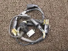 XLR80R メインハーネス イグナイター レギュレター △B8811！イグニッションコイル HD10 ホンダ 【 HD10E 】 キャブ車 動画有のサムネイル