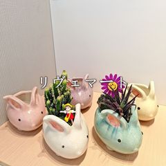 エッグにこちゃんのモルタルリメイク鉢6個とピックセット＊ - メルカリ