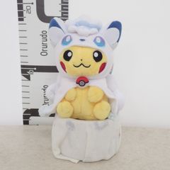希少 ポケモンセンター アローラロコン ロコンポンチョのピカチュウ 3