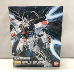 2026年最新】MG ストライクフリーダム 大河原邦男の人気アイテム