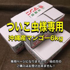 タケちん様/沖縄産マンゴー(贈答用)4箱クール発送 - メルカリ