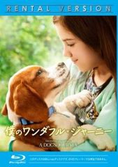 ROOKIES ルーキーズ(7枚セット)第1話～第11話+卒業【全巻セット 邦画