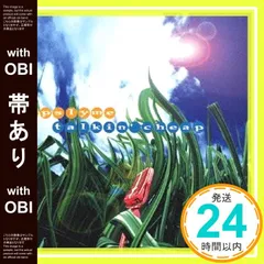 【帯あり】Talkin’Cheap [CD] RIP SLYME_07