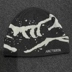 ARC'TERYX GROTTO TOQUE アークテリクス グロット トーク ビーニー ニットキャップ 心斎橋店のサムネイル