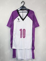 白布賢二郎 風 セット済みコスプレウィッグ ハイキュー！！ HQ!! 白鳥