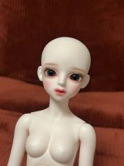 Littlemonica haazel ドーリズム2017限定版 - メルカリ