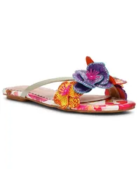 ベッツィジョンソン レディース シューズ サンダル Betsey Johnson Womens Nicolle Flower Flat Sandals White Multi ホワイトのサムネイル