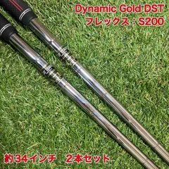 2026年最新】ダイナミックゴールドdst s200の人気アイテム - メルカリ