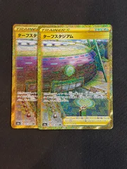 ターフスタジアム ur 2枚セットのサムネイル