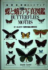 Butterflies of Peru ペルーの蝶類 Vol. 1 - メルカリ