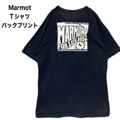 MARMOT マーモット プリントTシャツ フェードのサムネイル