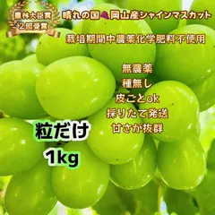 2026年最新】完熟シャインマスカットの人気アイテム - メルカリ