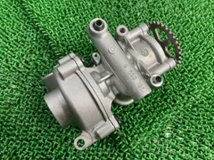 S1000RR オイルポンプ 8 569 196  純正 中古 K67 ウォーターポンプ 良品 綺麗 Na S1000RR オイルポンプ 8 569 196 BMW 純正 中古 K67 ウォーターポンプ