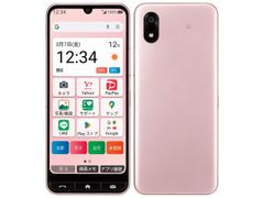 新品未開封」SIMフリー Google Pixel 9 128GB [Wintergreen] GA05840