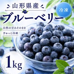 ドテチャン様専用 【訳あり】冷凍ブルーベリー 4キロ - メルカリ