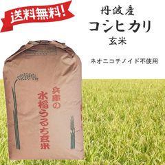 農薬不使用♦️最高級希少米】5㎏精米✴︎新潟県長岡産コシヒカリ