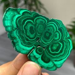 高品質 孔雀石 花形 原石 放射状結晶 美結晶グリーン 鉱物標本 厳選