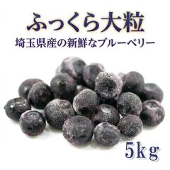 【農薬・肥料不使用】山口県産 冷凍ブルーベリー 5kg ハイブッシュ系 農薬・肥料不使用】山口県産 冷凍ブルーベリー 5kg ハイブッシュ系
