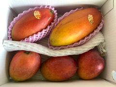 沖縄産マンゴー2種 約1.4kg クール便送料込 - メルカリ