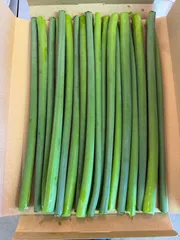 令和８年稚内産　ジャンボニンニクの芽　800g　栽培期間中農薬不使用のサムネイル
