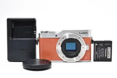 ☆極上品☆ パナソニック Panasonic LUMIX GF9 ボディ DC-GF9 ショット