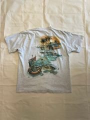 SCOTT HAWAII シュノーケリング グラフィック Tシャツ - メルカリ