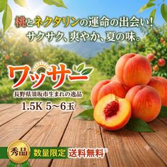 数量限定】【超貴重】 長野県須坂市産ワッサー 10キロ 約30~40玉