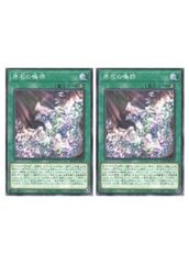 [중고] 유희왕 OCG 듀얼 몬스터즈 원석의 울림 ROTA ROTA-JP059 2장 세트