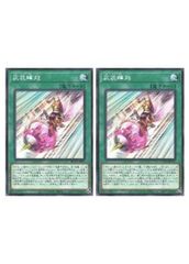 [중고] 유희왕 OCG 듀얼 몬스터즈 무장봉기 ROTA ROTA-JP051 2장 세트