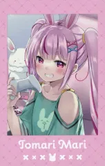 【中古】キャラカード 兎鞠まり(D) 「バーチャルYouTuber 兎鞠まり インスタントフォト風ブロマイド(ランダム)」のサムネイル