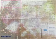 【中古】販促品 販促冊子)代官山通信号外 Hotaru California 特別号 (サザンオールスターズ・スーパー・ライブ・イン・横浜 ホタル・カリフォルニア 曲順表)