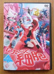 レンタル版DVD】クレヨンしんちゃん 第8期シリーズTV版傑作選 16