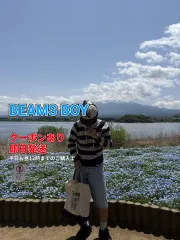 BEAMS BOY ビームスボーイ パーカー ネイビー コットン ボーダー柄 プルオーバー 長袖 レディースのサムネイル
