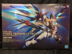 BANDAISPIRITS PG 1/60 반다이 스피릿 버전 스트라이크 프리덤 건담