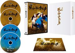 ブルース・リー伝説 DVD 全15巻 全巻セット ケース付 ダニー・チャン