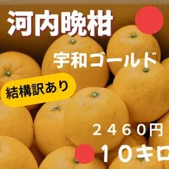 【見た目より味！】河内晩柑 訳あり 箱込み１０kg 自宅用 フルーツ　ジューシー（不揃い、外皮の小傷多め）のサムネイル