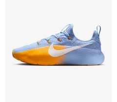 Nike ナイキ レブロンTR1 FJ 6151−301 トレーニングシューズ - メルカリ